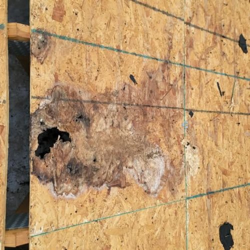 591ef0da-2622-4276-9650-27115747fb1e